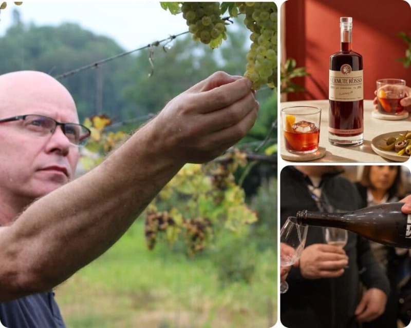 Foto mundo del vino
