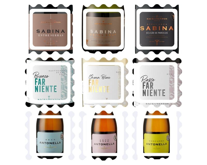 Foto mundo del vino