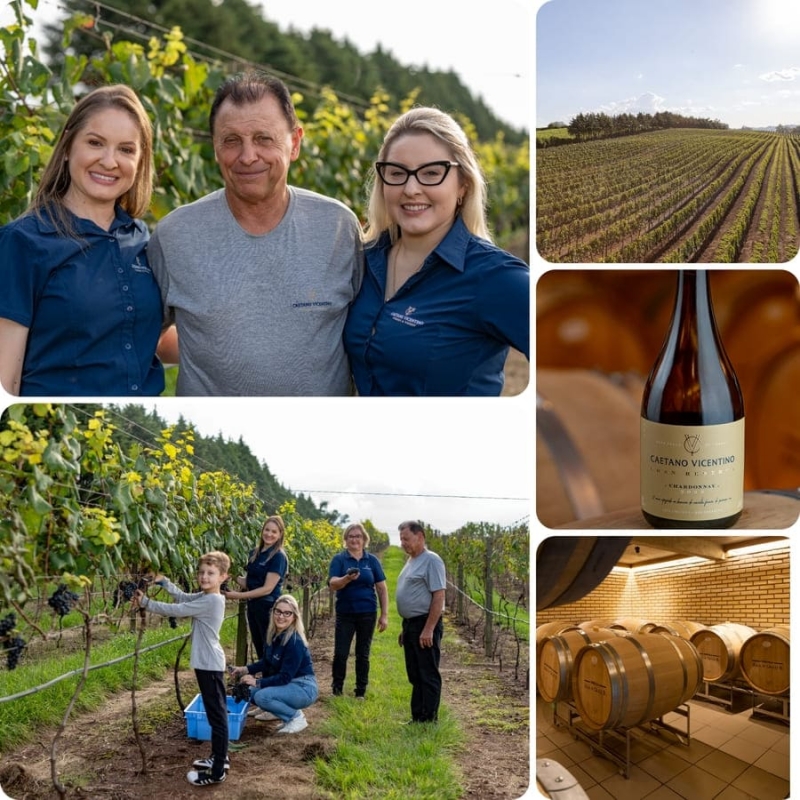 Los vinos de la bodega  Caetano Vicentino, en Brasil.